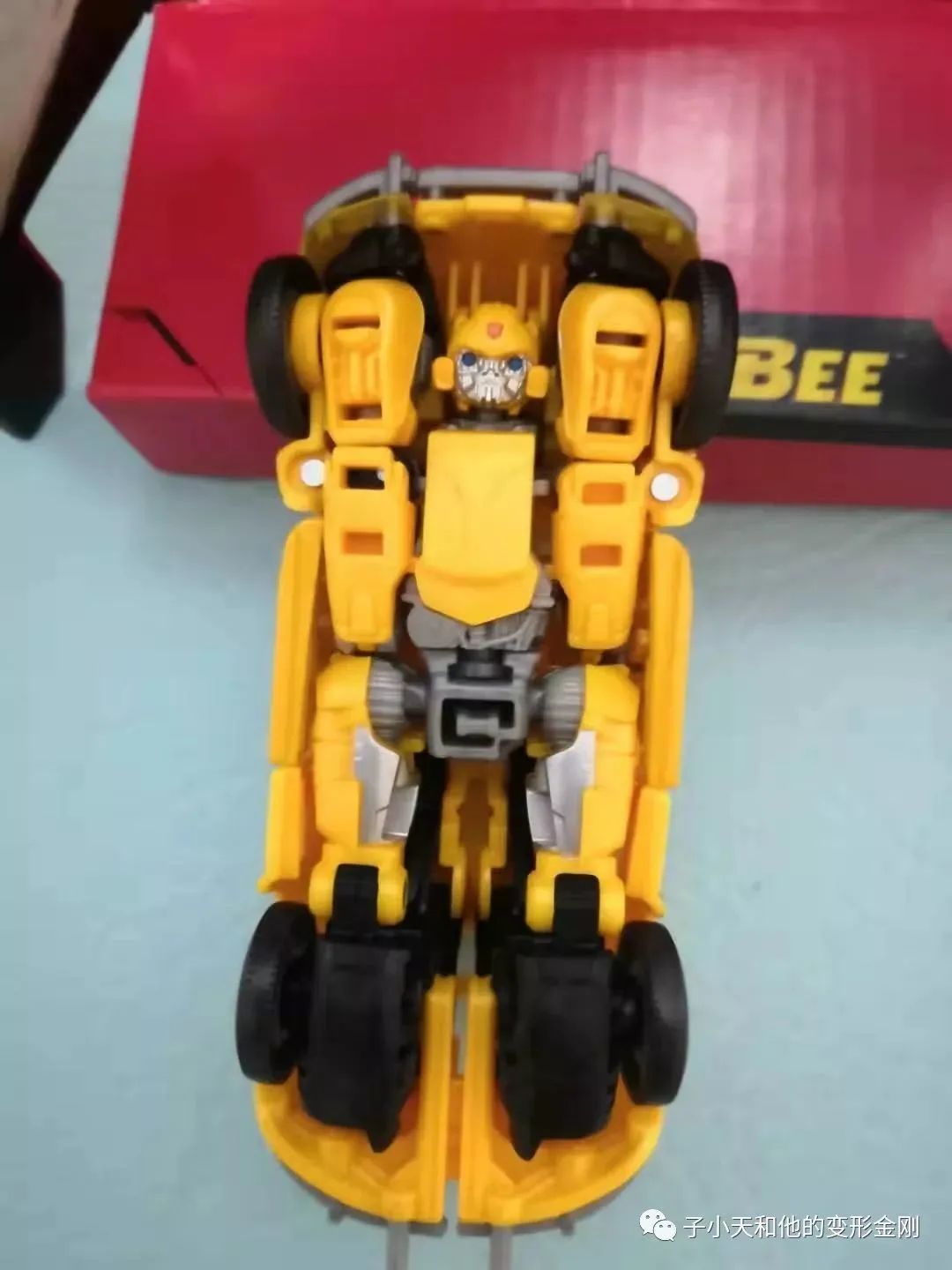 SS24大黄蜂（D级）