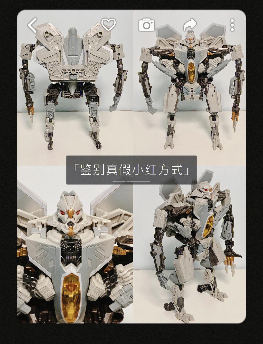 SS21红蜘蛛（V级）