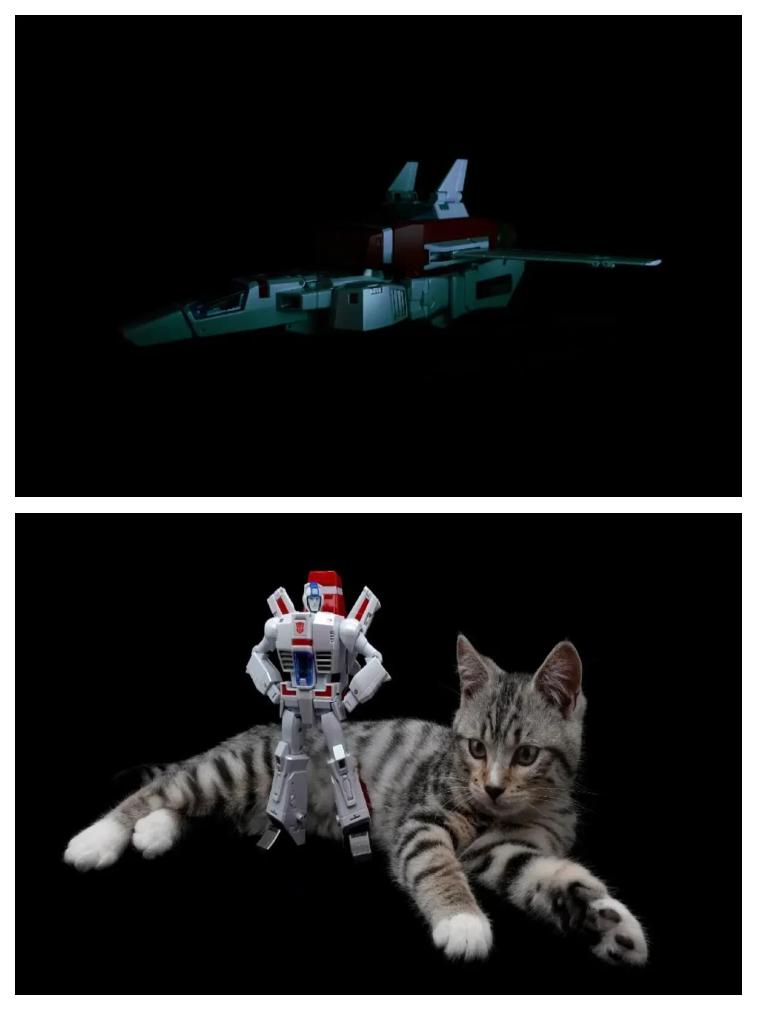 孩之宝 SS系列 电影2 SS35天火（L级）图47.jpg