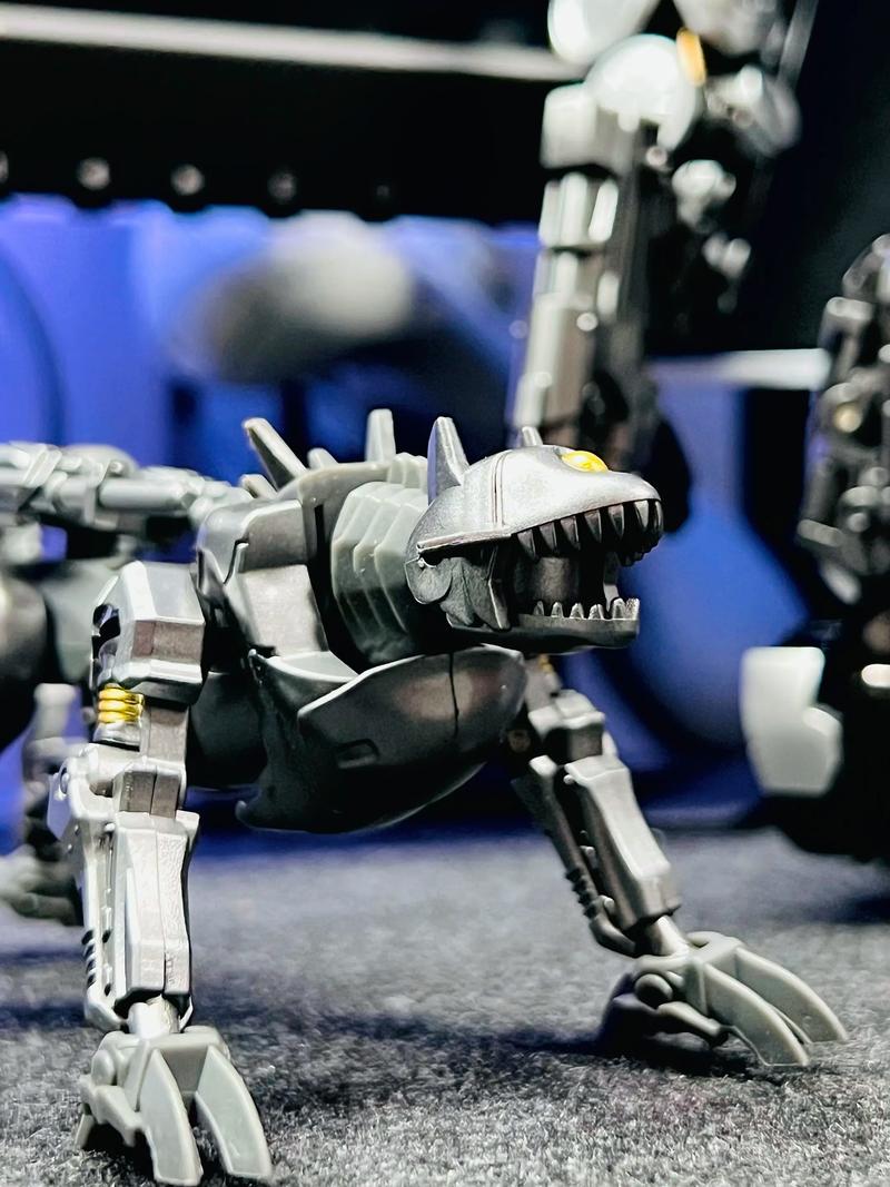 孩之宝 SS系列 电影2 SS62声波（D级）图46.jpg